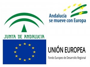 SUBVENCION ANDALUCIA SE MUEVE CON EUROPA FONDOS DE LA UNION EUROPEA JUNTA DE ANDALUCIA
